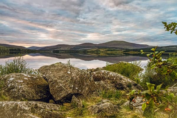 Spotting ospreys at Threave Garden and Nature Reserve in Dumfries & Galloway has made it onto the National Trust for Scotland's list