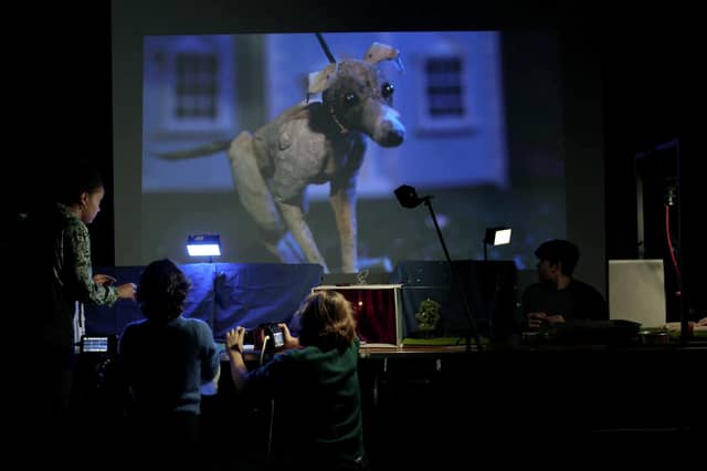 Bark Bark by film and theatre company Buzzcut