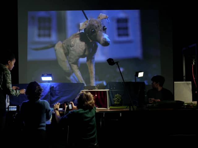 Bark Bark by film and theatre company Buzzcut 