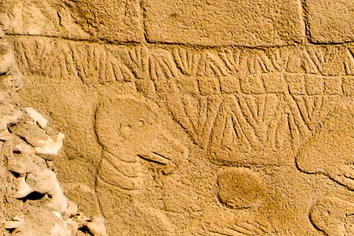 The 10,000BC 'world's oldest calendar' discovered by Scots experts
