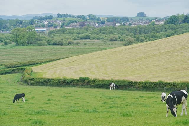 Tesco is to axe contracts with some farms supplying them fresh milk due to sales declining
