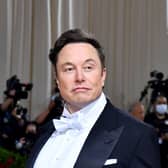 Elon Musk has been described as 'one of the most dangerous men' in the world by former First Minister Humza Yousaf (Picture: Angela Weiss/AFP via Getty Images)