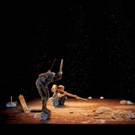 Sawdust Symphony