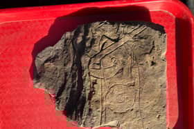 The Govan Warrior found at Old Govan Church last summer. Archaeologists are to return to the find site in hopes of making some more breakthrough discoveries with the help of the local community.