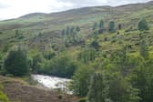 The John Muir Trust (JMT), which just passed its 40 year anniversary, advocates protecting wild land 