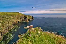 Orkney Isles: Windwick on South Ronaldsay must be the ultimate spot for a true re-set. 