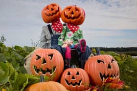 Tickets range from £5 to £12 for this pumpkin picking festival near Edinburgh.