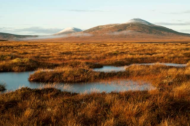 The Flow Country, straddling 200,000 hectares of the Highlands, was awarded world heritage status last month after decades of campaigning