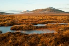 The Flow Country, straddling 200,000 hectares of the Highlands, was awarded world heritage status last month after decades of campaigning 