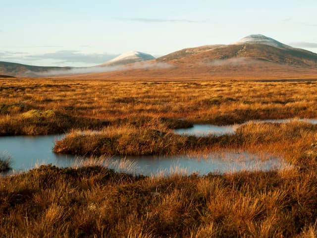 The Flow Country, straddling 200,000 hectares of the Highlands, was awarded world heritage status last month after decades of campaigning 