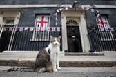 Larry the cat has long been a fixture at the Prime Minister's official office