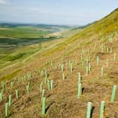 Money for biodiversity projects is being diverted