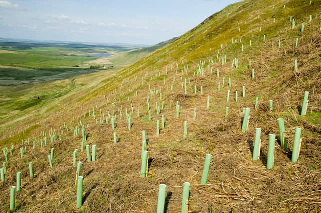 Money for biodiversity projects is being diverted