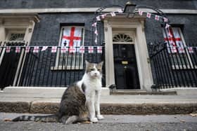 Larry the Cat poses outside Number 10 Downing Street in central London. Picture: Hollie Adams/AFP via Getty Images