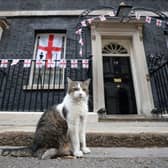Larry the Cat poses outside Number 10 Downing Street in central London. Picture: Hollie Adams/AFP via Getty Images