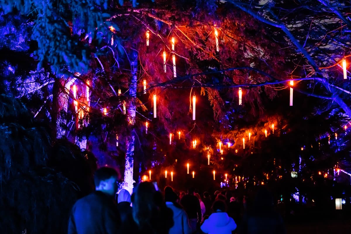 Christmas at the Botanics 2025 to sparkle with Hogwarts style magic