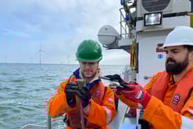 Researchers collecting samples from the seabed off the coast of Cumbria, one of the UK's oldest active offshore wind farms. Photo : University of Essex/PA Wire 