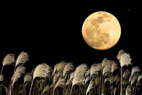 September's full moon is called the Harvest Moon.