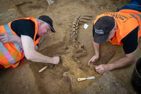 Clive (left) and Rod uncovering the skeleton of an Ox during an archaeological excavation on the battlefield of Waterloo, Belgium. Picture: Chris van Houts/PA Wire