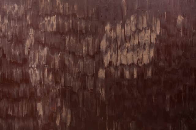 Detail from Stroke, by Anya Gallaccio