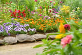 A poll of 2,000 adults revealed the quirkier strategies those who garden adopt to help their plants grow - including throwing teabags onto the soil