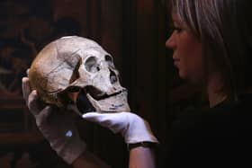 According to the pseudoscientific theory of 'phrenology', the shape of someone's skull could reveal their character (Picture: Oli Scarff/Getty)