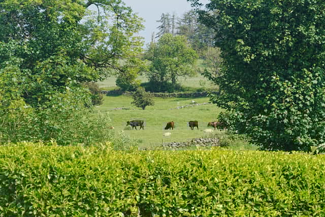 Campaigners are saying more needs to be done to support nature-friendly farming 