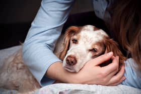 The vet service posted the warning for dog owners on Facebook