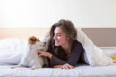 Sharing your bed with a dog can have postive impact.