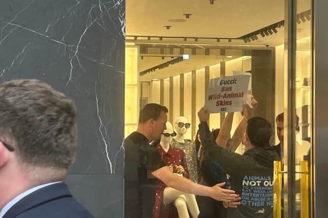 The Peta protestors made it inside the new Edinburgh Gucci store.