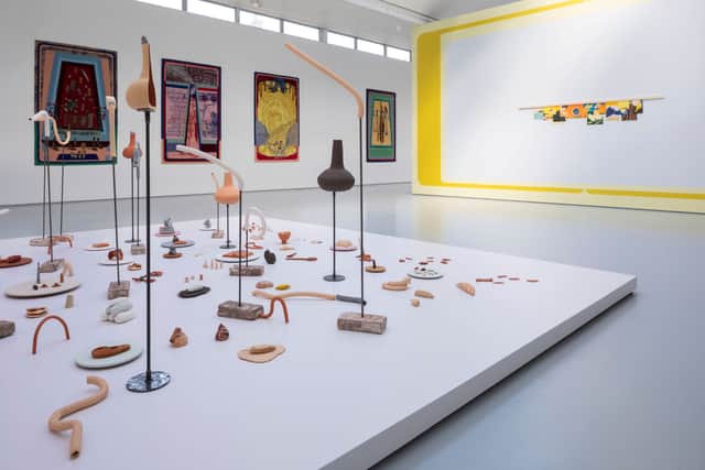 Installation view of the Martinez Garay exhibition at DCA