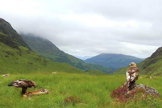 Campaigners said the 4G mast is proposed for a site where it could disturb nesting golden eagles
