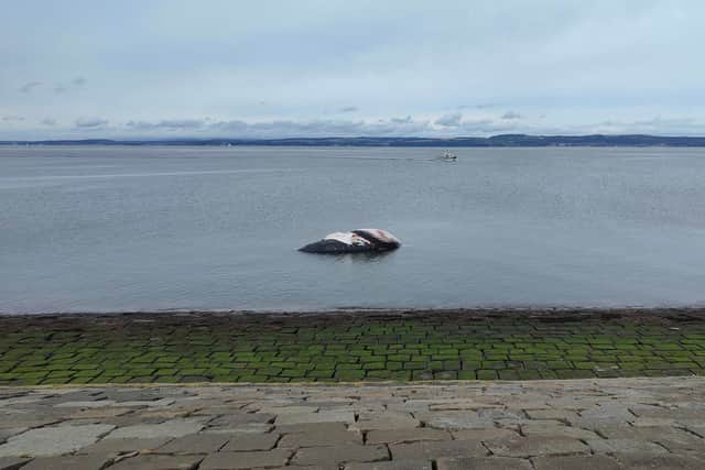 The whale washed up near Newhaven Harbour, Edinburgh 