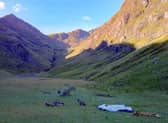 Rangers said finding abandoned tents has "been a regular occurrence all summer."