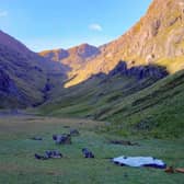 Rangers said finding abandoned tents has "been a regular occurrence all summer."