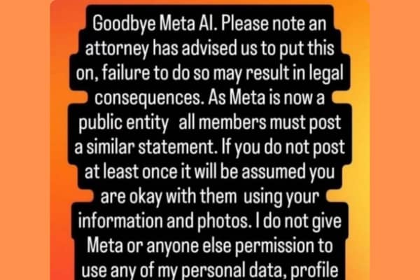 Example of the 'Goodbye Meta AI'. Photo via Twitter user @hannahlouisef