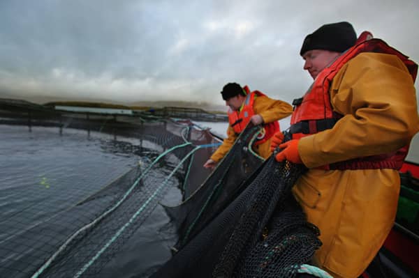 Scotland's salmon farms have a long history of innovation (Picture: Jeff J Mitchell)