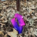 The Official Number 1 album award, which was presented to Erland Cooper for the album Carve The Runes Then Be Content With Silence, being buried underground in an undisclosed location. Picture: Erland Cooper/PA Wire 