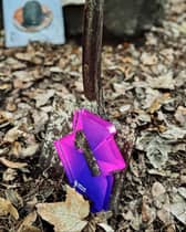 The Official Number 1 album award, which was presented to Erland Cooper for the album Carve The Runes Then Be Content With Silence, being buried underground in an undisclosed location. Picture: Erland Cooper/PA Wire 