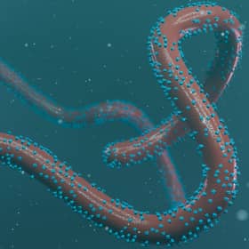 Public health authorities in Rwanda are currently tackling an outbreak of Marburg Virus Disease.