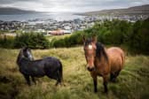 The capital of the Faroe Islands, Torshavn, where Russian fishing vessels are still allowed to dock despite Putin's invasion of Ukraine (Picture: Maja Hitij)