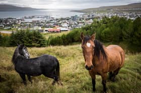 The capital of the Faroe Islands, Torshavn, where Russian fishing vessels are still allowed to dock despite Putin's invasion of Ukraine (Picture: Maja Hitij)