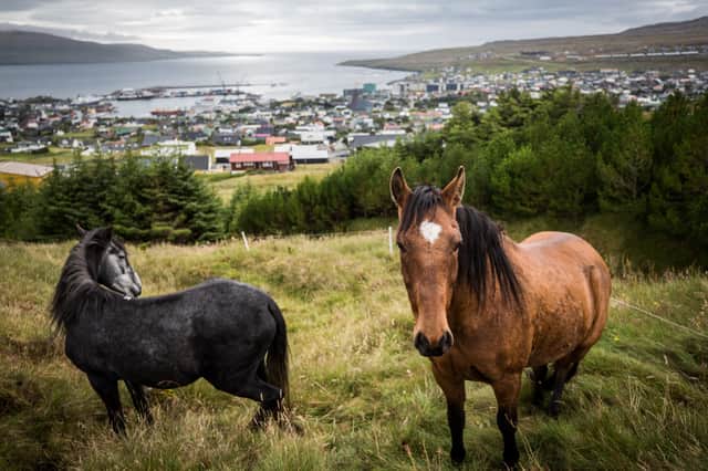 The capital of the Faroe Islands, Torshavn, where Russian fishing vessels are still allowed to dock despite Putin's invasion of Ukraine (Picture: Maja Hitij)