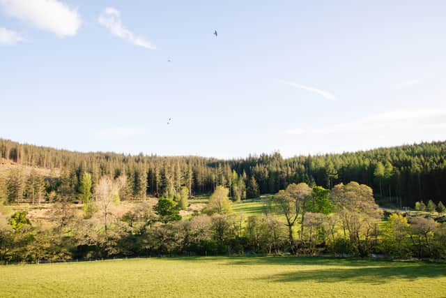 Glen Dye estate