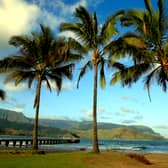 Hawaii may seem like paradise but Archibald Cleghorn thought it was 'bleak' when he arrived as a teenager (Picture: Mark Boster)