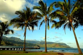 Hawaii may seem like paradise but Archibald Cleghorn thought it was 'bleak' when he arrived as a teenager (Picture: Mark Boster)