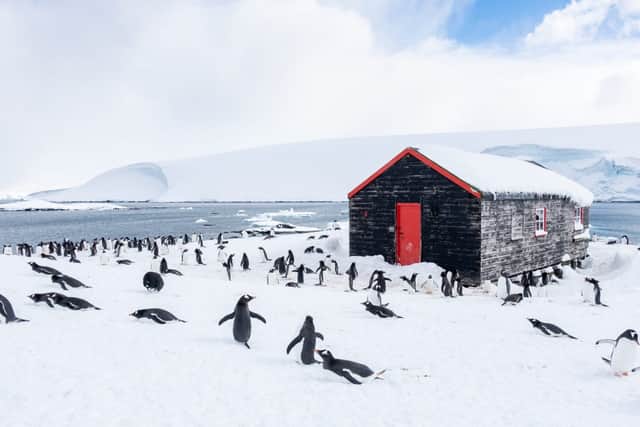 Penguins at Port Lockroy in Antarctica. A Scottish woman will spend five months counting penguins in Antarctica. Picture: UKAHT/Jerome Viard/SWNS