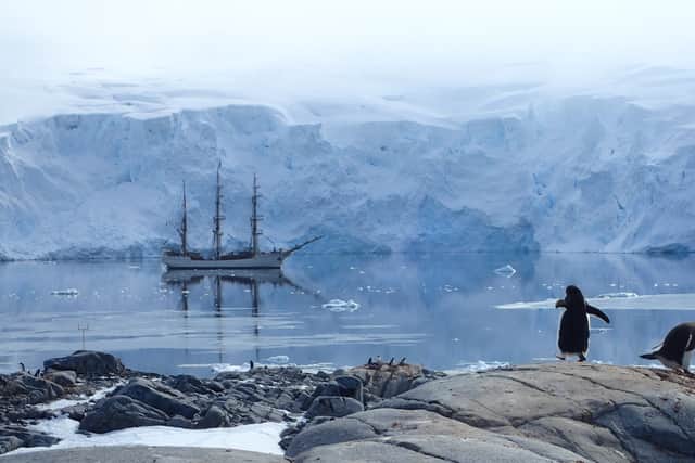 Penguins at Port Lockroy in Antarctica. A Scottish woman will spend five months counting penguins in Antarctica. Picture: UKAHT/SWNS