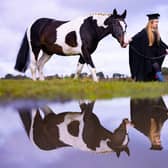 College bosses have hailed a ‘historic day’