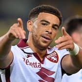 Che Adams has scored four times for Torino this season.